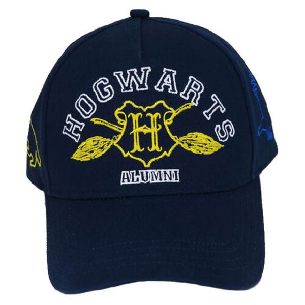 Hogwarts Houses Cap Harry Potter 