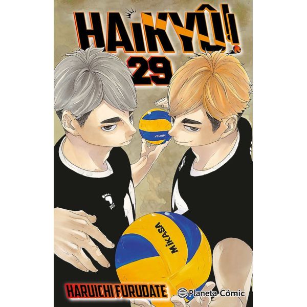 Manga Haikyu!! #29