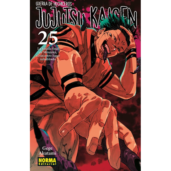 Manga Jujutsu Kaisen - Guerra de Hechiceros #25