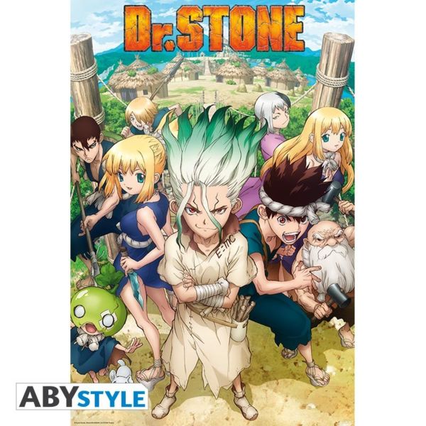 Poster Grupo Dr Stone  91,5 x 61 cms