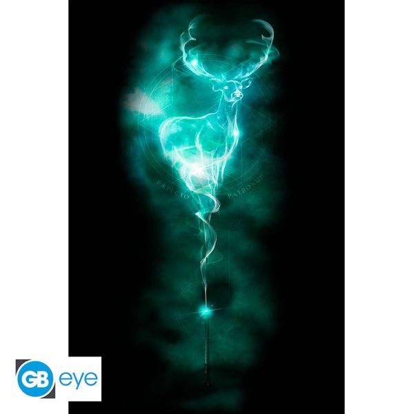 Poster Patronus Harry Potter 91,5 x 61 cms