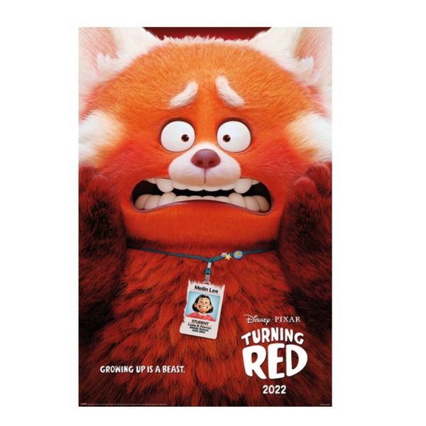 Poster Mei Red Disney Pixar 61 x 91 cms