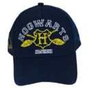 Hogwarts Houses Cap Harry Potter 