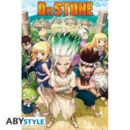 Poster Grupo Dr Stone  91,5 x 61 cms