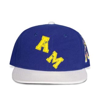 All Might Blue Cap My Hero Academia 
