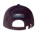 Gorra Assassins Creed Valhalla Metal Symbol