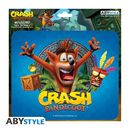 Alfombrilla Crash Bandicoot