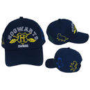 Hogwarts Houses Cap Harry Potter 