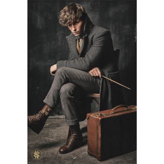 Poster Newt Scamander Animales Fantasticos 91,5 x 61 cms