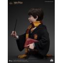 Harry Potter Busto 1/1 Harry 76 cm