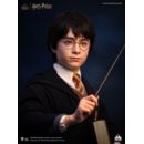 Harry Potter Busto 1/1 Harry 76 cm