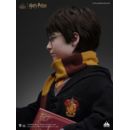 Harry Potter Busto 1/1 Harry 76 cm