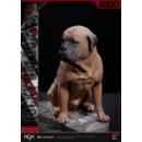 Rocky Estatua Superb Scale 1/4 Rocky 1976 54 cm