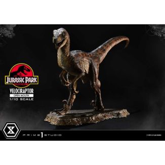 Jurassic Park Estatua Prime Collectibles 1/10 Velociraptor Open Mouth 19 cm