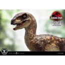 Jurassic Park Estatua Prime Collectibles 1/10 Velociraptor Open Mouth 19 cm