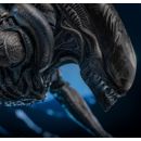 Alien: Romulus Figura Movie Masterpiece 1/6 Scorched Xenomorph 44 cm
