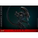 Alien: Romulus Figura Movie Masterpiece 1/6 Scorched Xenomorph 44 cm