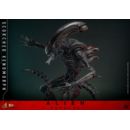 Alien: Romulus Figura Movie Masterpiece 1/6 Scorched Xenomorph 44 cm