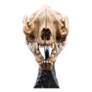 El Señor de los Anillos Estatua Skull of a Warg 20 cm