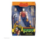 Teenage Mutant Ninja Turtles Ultimates Action Figure Wave 13 Casey Jones 18 cm 